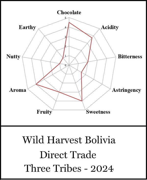 Bolivia Three Tribes 70% Dark Chocolate making kit