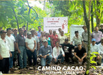 Mexico Camino Cacao - Direct Trade - 2023