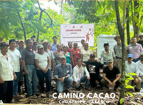 Mexico Camino Cacao - Direct Trade - 2023