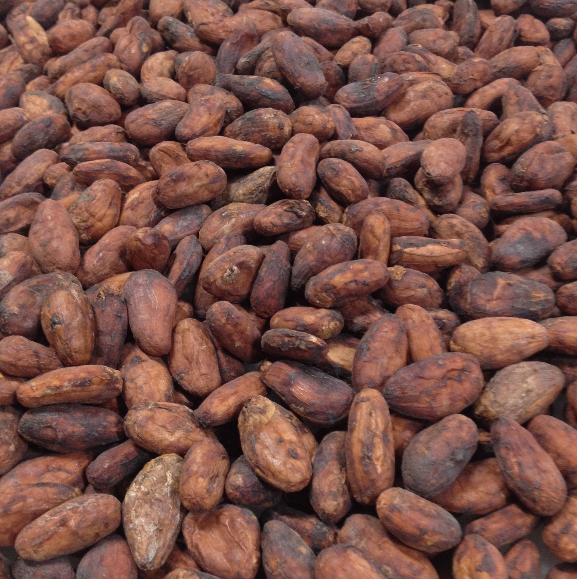 Ecuador Costa Esmeraldas Direct Trade 2023