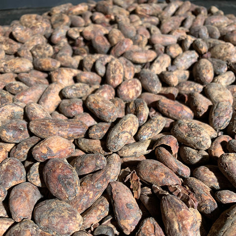 Vanuatu Malekula Island - 2024