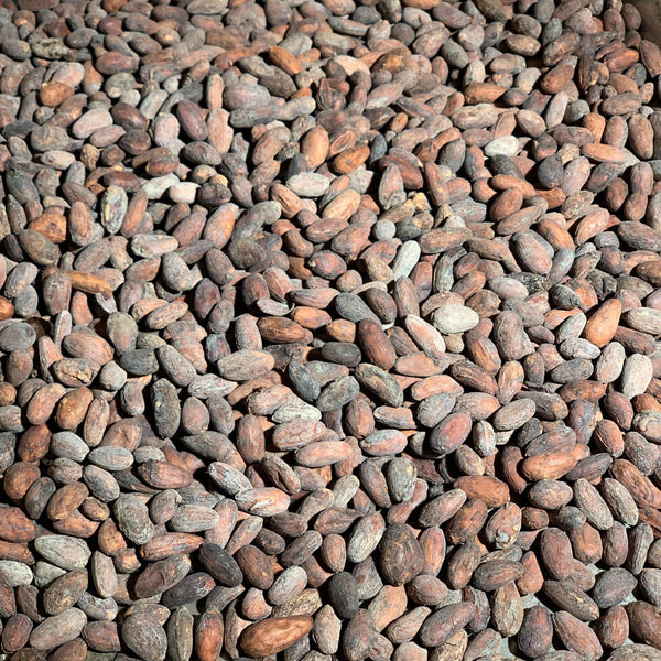 Bolivia Three Tribes 70% Dark Chocolate making kit