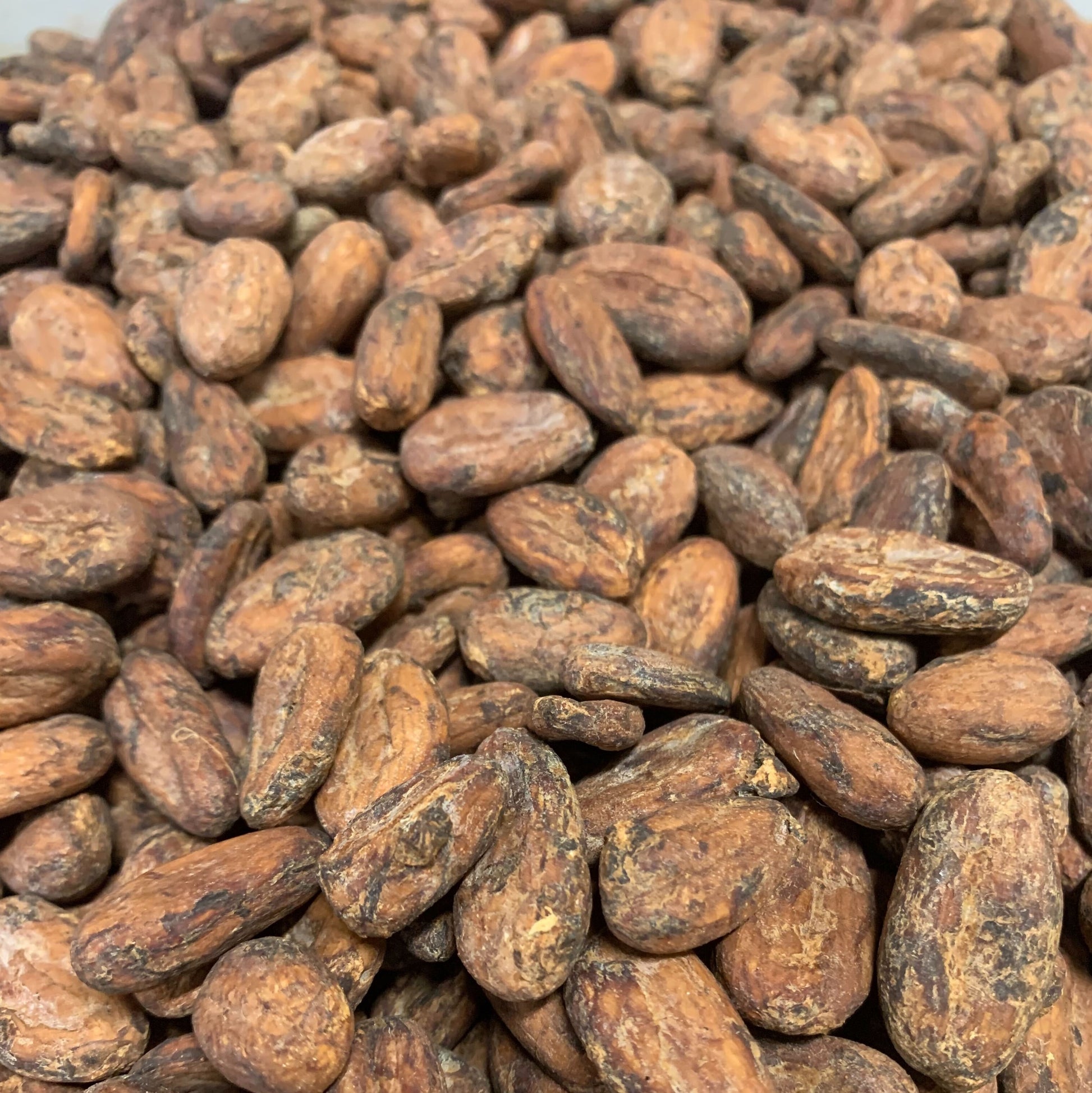 Fiji Rakiraki Direct Trade 2025