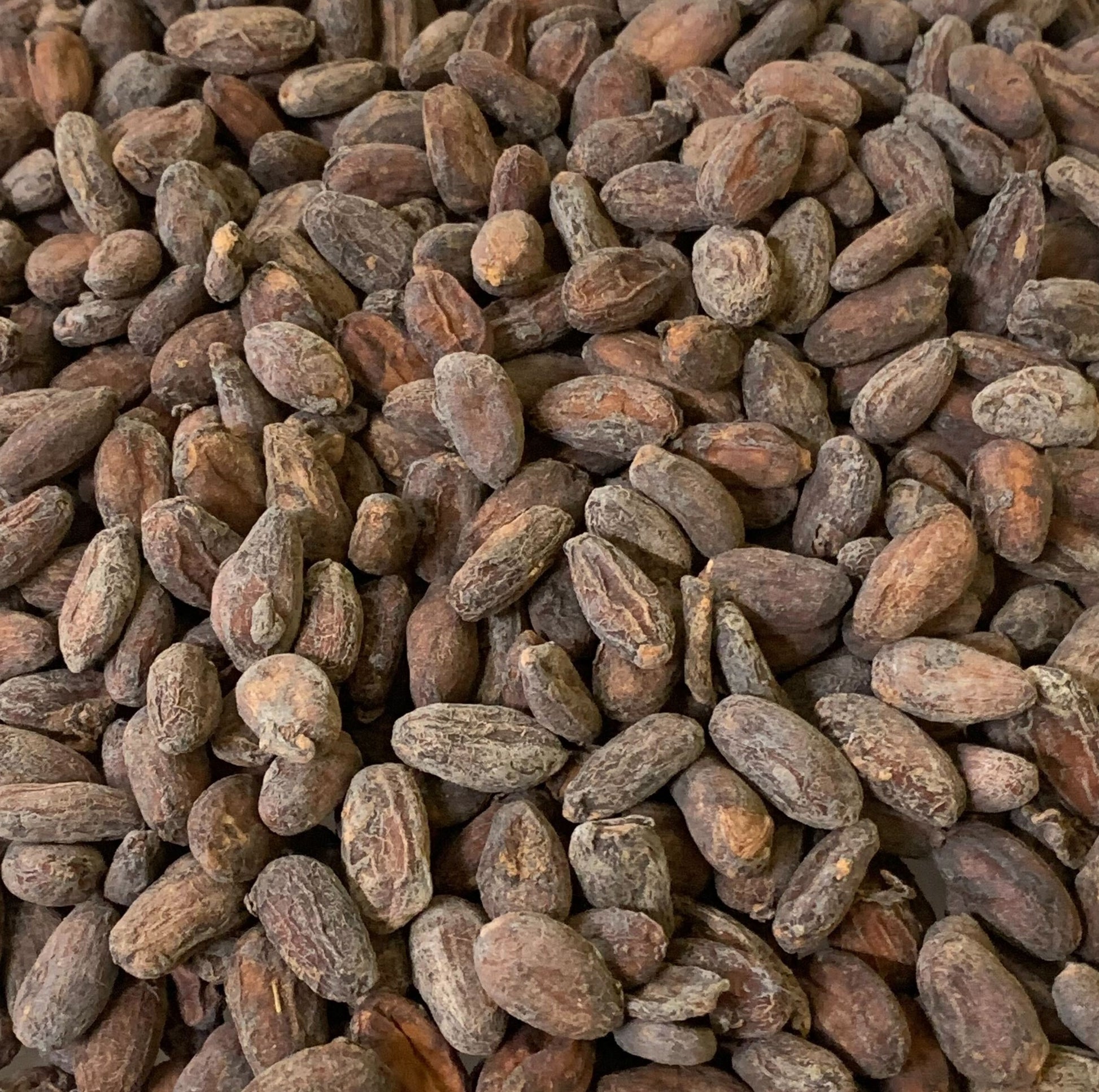 Bolivia - Wild Harvest Tranquilidad Direct Trade 2025