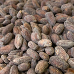 Bolivia Wild Harvest Tranquilidad Direct Trade 2026