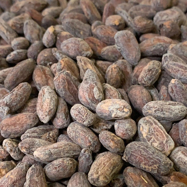 Bolivia Wild Harvest Tranquilidad Direct Trade 2026