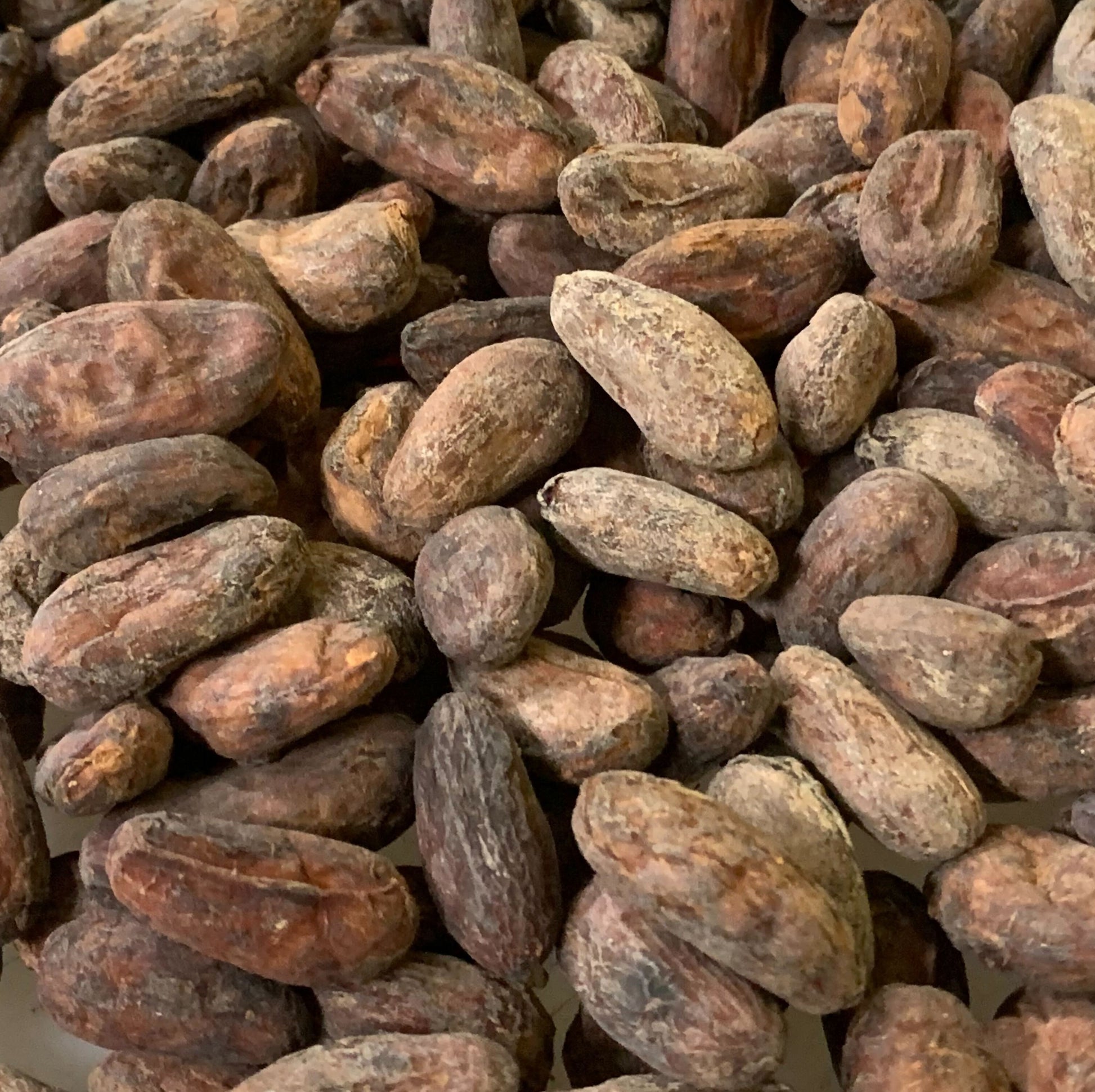 Bolivia - Heirloom #1 Felix Paredes 2025 - Direct Trade