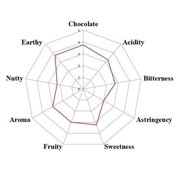 Spider web diagram with ratings for chocolate, acidity, bitterness, etc.