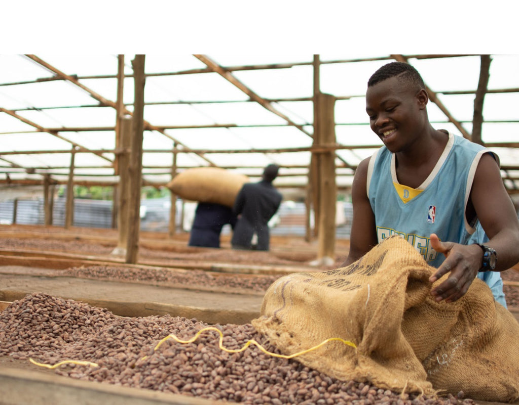 Uganda Bukonzo Organic 2021 - Cacao Latitudes