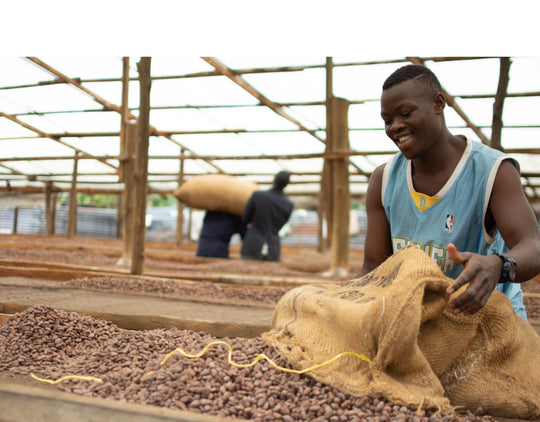 Uganda Bukonzo Organic 2021 - Cacao Latitudes