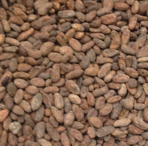 Ecuador Palo Santo UTZ 2023