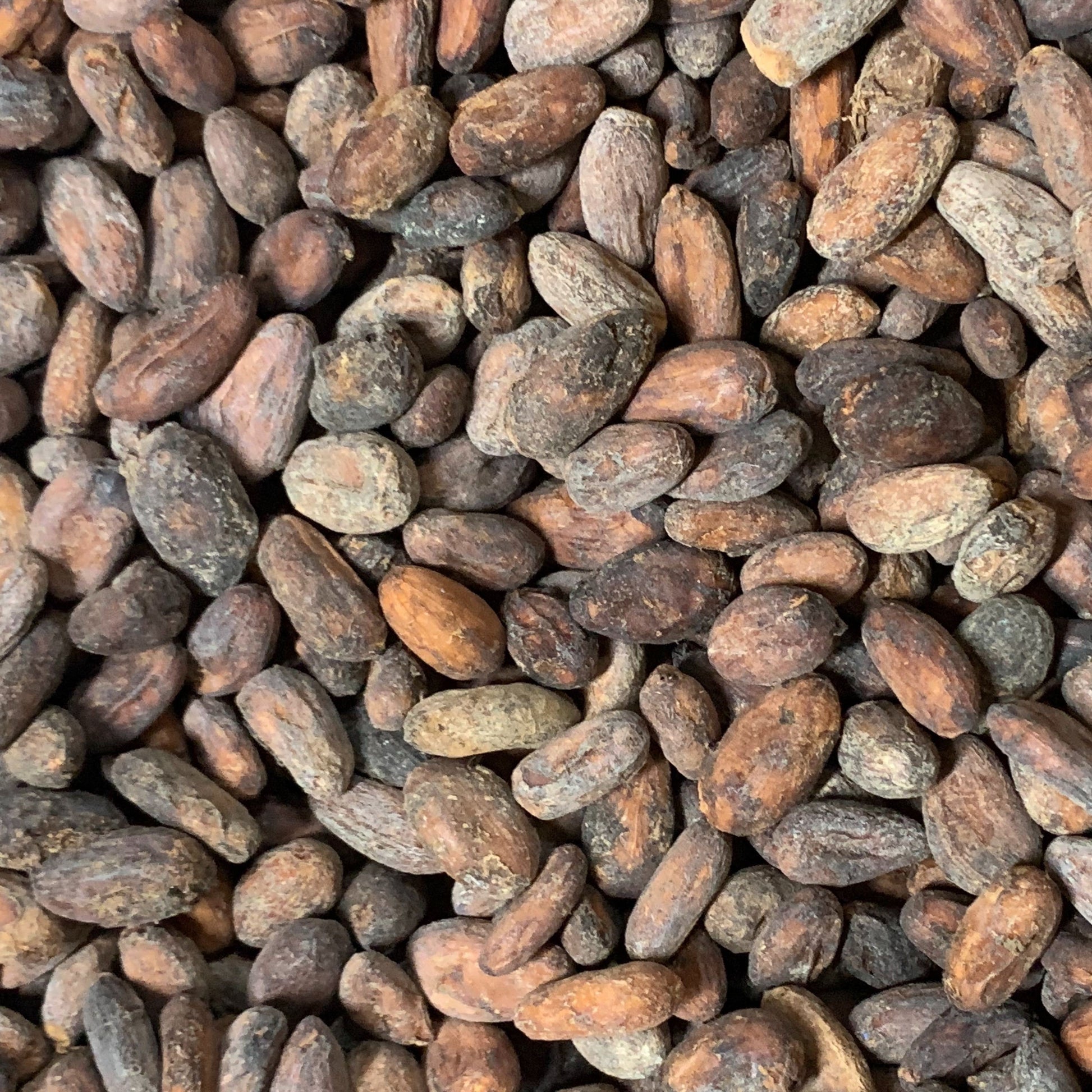 Ghana Kome -Three Mountains Women's Coop 2025