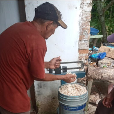 Mexico Agua Escondida Comalcalco Direct Trade 2025