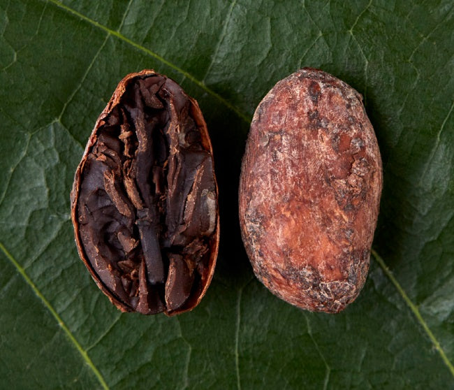 Uganda Bukonzo Organic 2021 - Cacao Latitudes