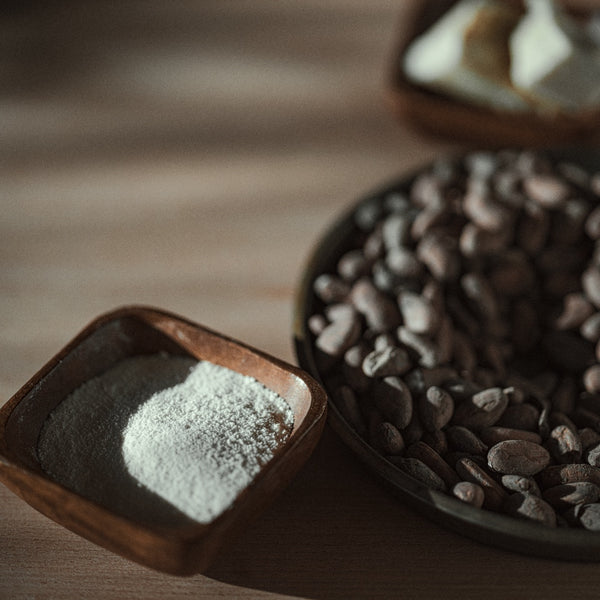 Whole Milk Powder | Chocolate Alchemy