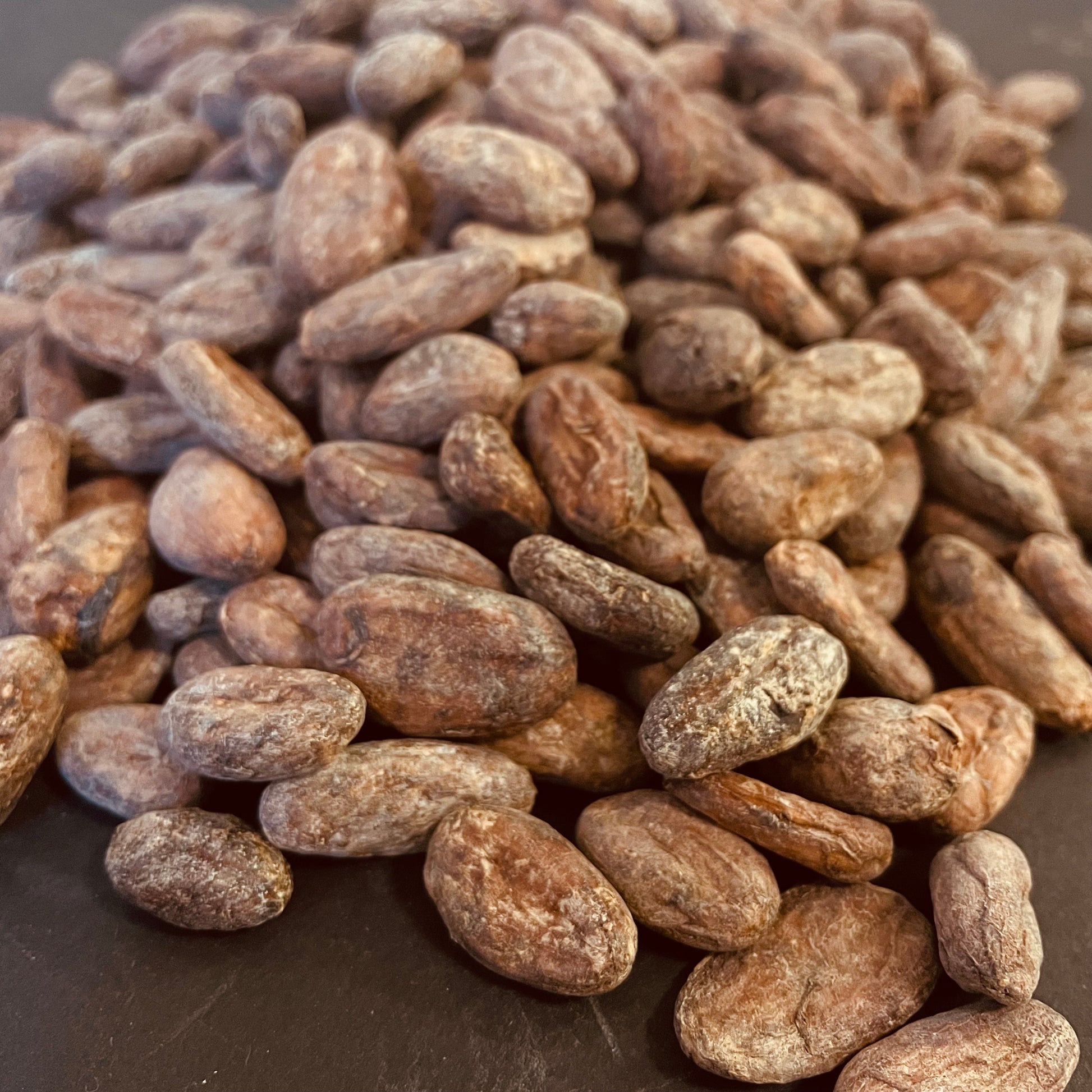 Close-up of Dominican Republic Zorzal cacao beans