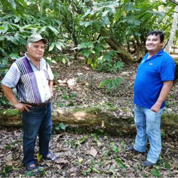 Mexico Agua Escondida Comalcalco Direct Trade 2025