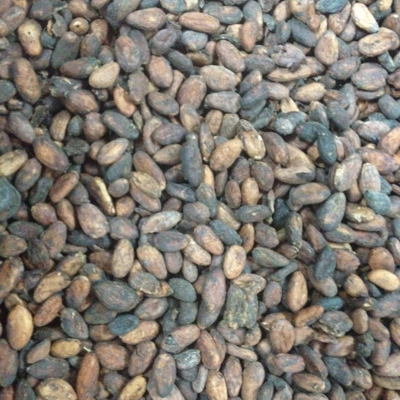 Ivory Coast 68% Dark Chocolate making kit