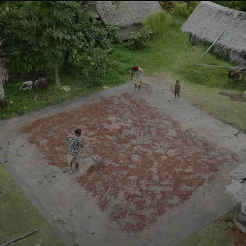 Vanuatu Malekula Island - 2024