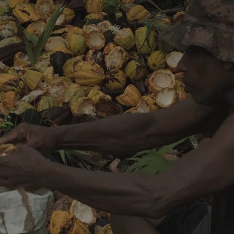 Vanuatu Malekula Island - 2024