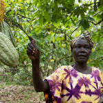 Uganda Semuliki Organic Brewing Cacao