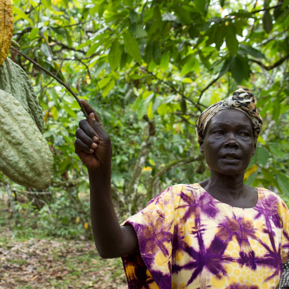 Uganda Semuliki Organic Brewing Cacao