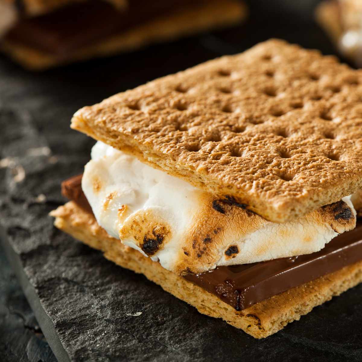 S'mores Chocolate making kit