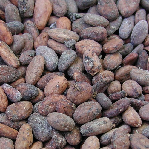 A close-up pile of brown cocoa beans with natural textured skins.