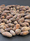 Close-up of Bolivia Alto Beni Walikeewa cacao beans.