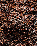 Brewing Cacao Sampler Pack