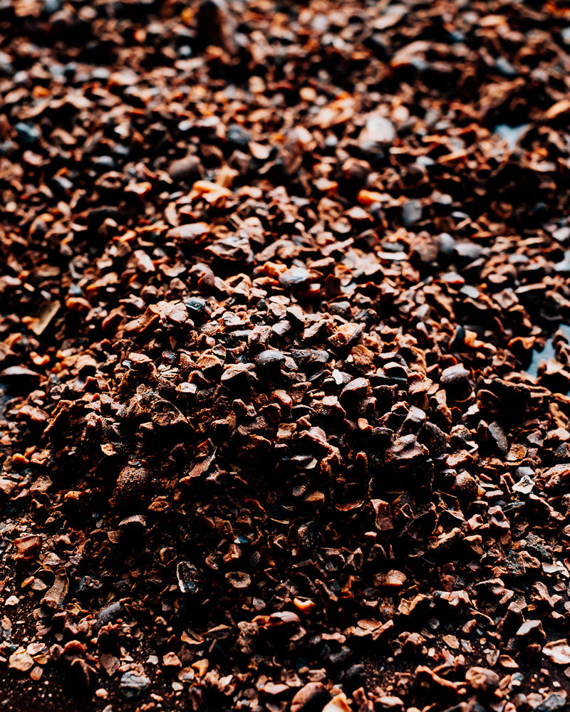 Brewing Cacao Sampler Pack