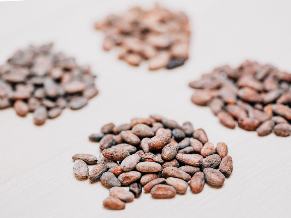 Sample Roasted Cocoa Beans