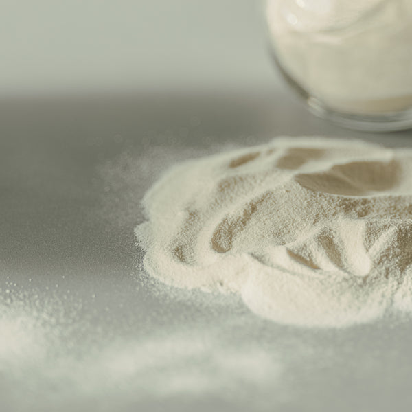 Cream Powder Ingredients Heavy Cream Powder – High-Fat Ingredient for Craft Chocolate ...