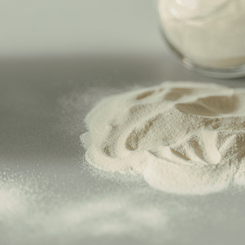 Heavy Cream Powder
