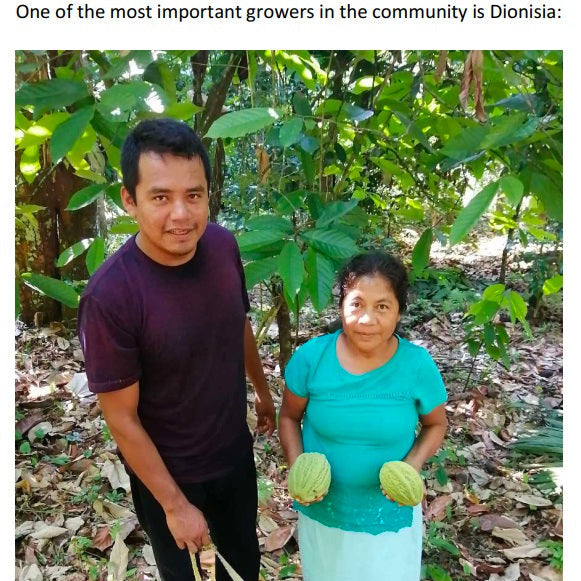 Mexican Ceremonial Cacao - Santana 2024