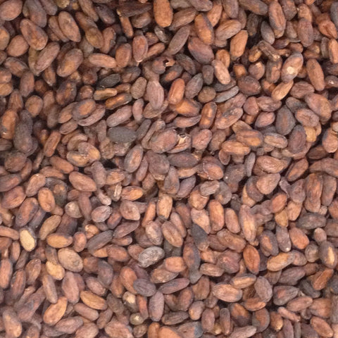 India Idukki Hills 2025