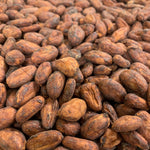 Mexico Agua Escondida Comalcalco Direct Trade 2025