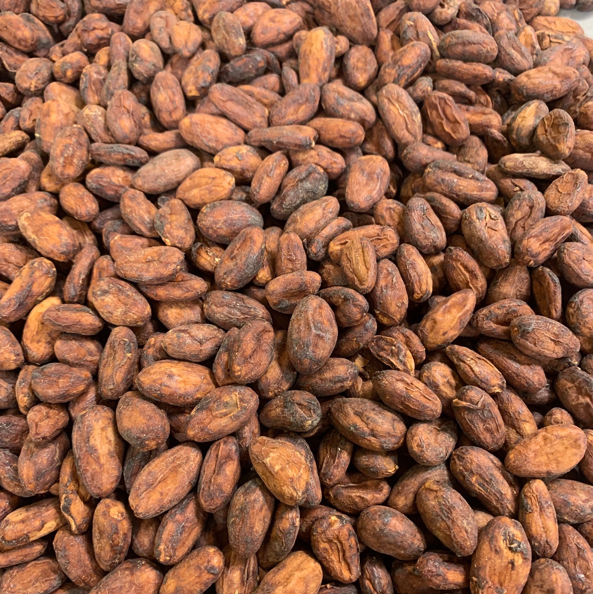 Mexico Almendra Blanca  Finca Frida 2025 Direct Trade