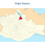 Mexican Ruby Lavados (washed / unfermented) Sandy/Iris 2024