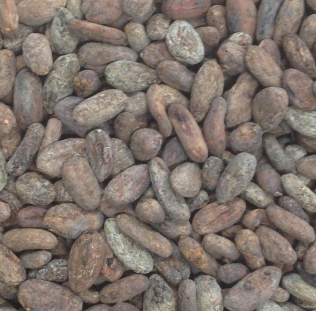 Dominican Republic Zorzal Direct Trade Organic 2025