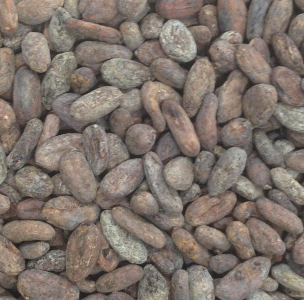 Dominican Republic Zorzal Direct Trade Organic 2025
