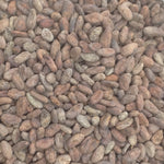 Dominican Republic Zorzal Direct Trade Organic 2025