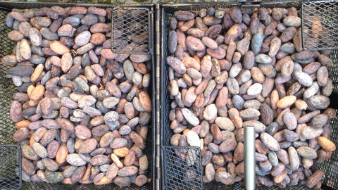 Floor sweeper - Chocolate Blend